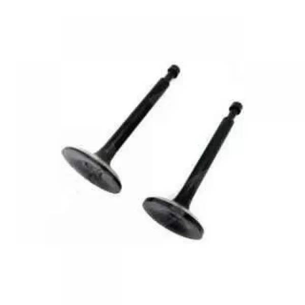 Комплект клапанов для двигателя 168F